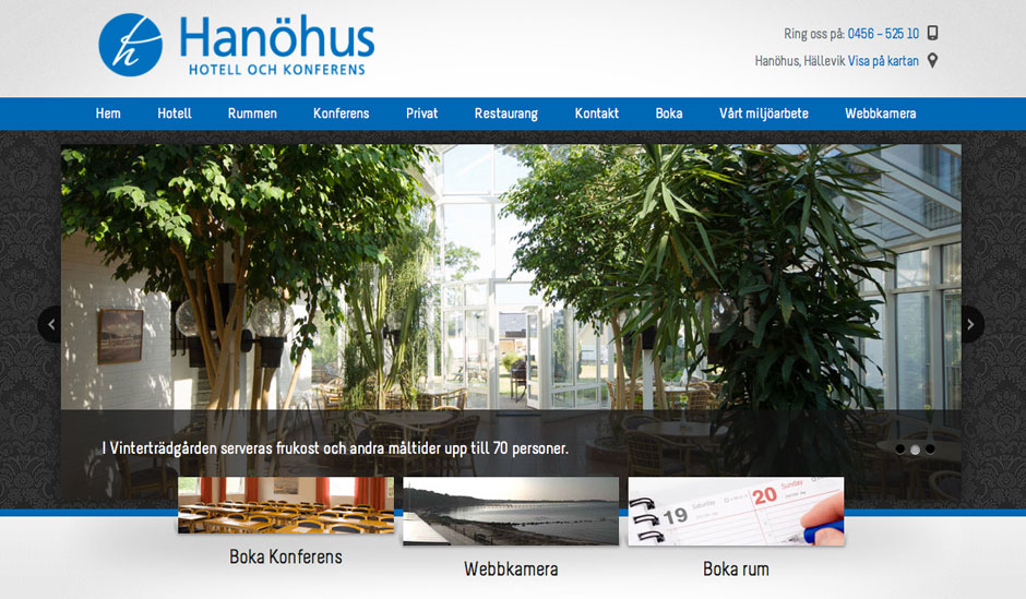 Hemsida Hanöhus